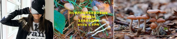 MDMA Premium VHQ Абаза